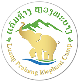 Luang Prabang Elephant Camp