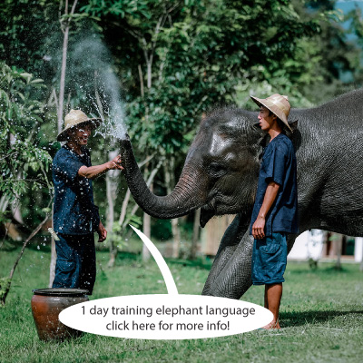 Mahout Experiences