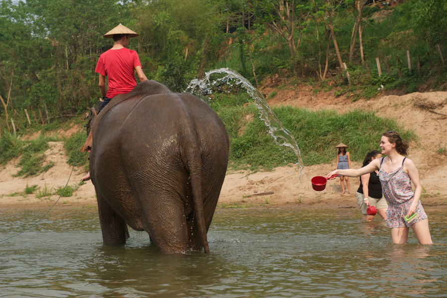 Bathing with elelphants